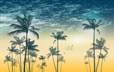 Fototapeta na wymiar Exotic tropical palm trees at sunset, with cloudy sky