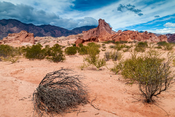 Rock formations in Quebrada de Cafayate valley, Argentina