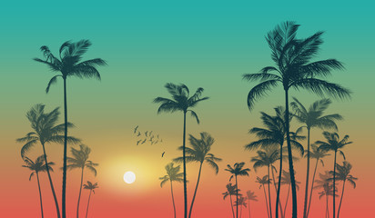 Exotic tropical palm trees  at sunset