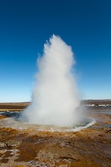 Fototapeta na wymiar Erupting geyser in Iceland
