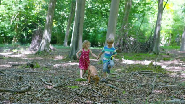  Happy little boy & girl walking with pet puppy in the woods