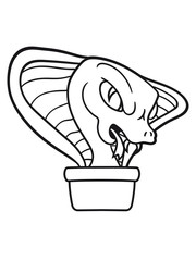 pot summon cobra cool rattlesnake bite angry dangerous deadly comic cartoon