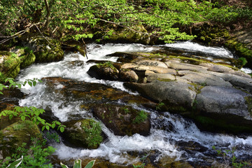 岡山県道116号沿いの清流