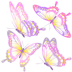 butterflies design