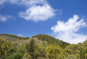 Gran Canaria, Central mountains