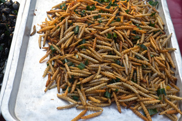 Thai food at market. Fried insects mealworms for snack