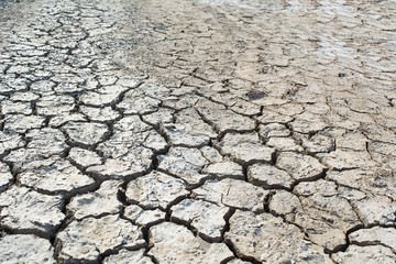Drought and cracked earth