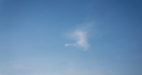 Fototapeta premium sky blue.