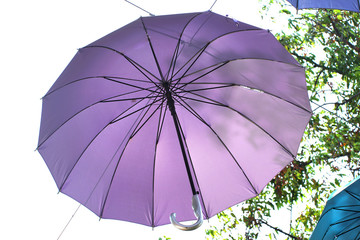 Umbrella hanging in the air in the garden.