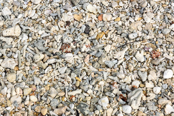 Many small corals on the beach