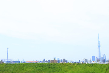 東京のビル群とスカイツリー