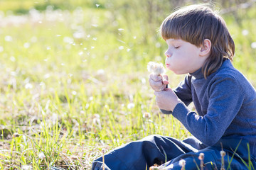 child blowing dandelion