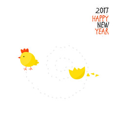 Chicken hatched from the egg