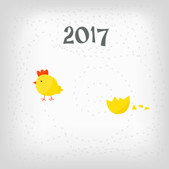 Chicken hatched from the egg