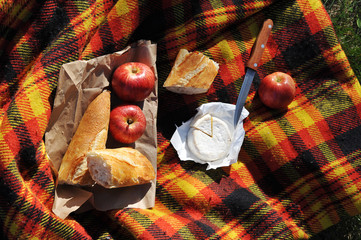 picnic at cellular blanket apples, baguette and cheese