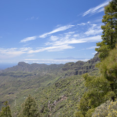 Obraz premium Gran Canaria, Calders de Tejeda in April