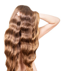 Naklejka premium Girl with long curly hair isolated on white .