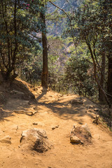 Fototapeta premium The trail in the Himalayas