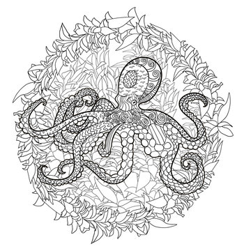 Octopus with high details. 