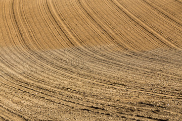 Beautiful summer rural landscape lines