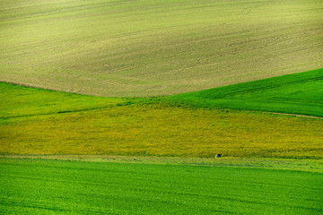 Naklejka premium Beautiful green spring rural landscape