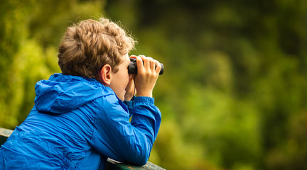 young boy bird watching in a forest - obrazy, fototapety, plakaty