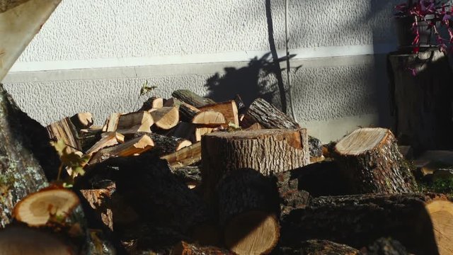 Chopping Wood Time-lapse 01
