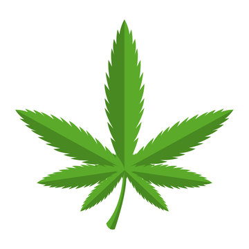 Vector green cannabis icon