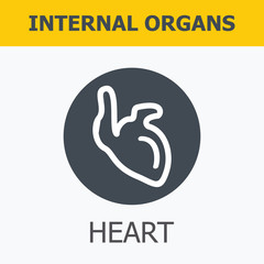 Fototapeta premium Internal organs set. Medical infographic icons, human organs, body anatomy. Vector icons of internal human organs Flat design. Internal organs icons. Internal organs icons art.