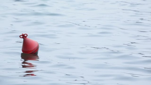 Red buoy on the waves
