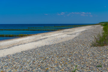 bunter steiniger Ostsee Strand mit algenbedeckten Buhnen
