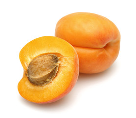 Apricot