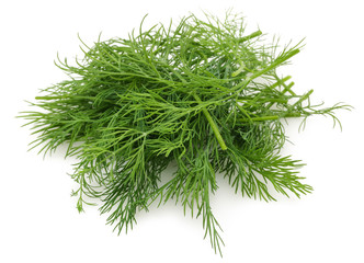 A bunch of fresh dill 