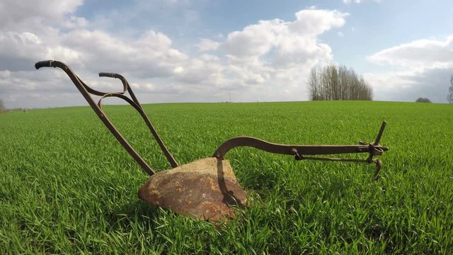Old rusty horse iron plough in the young wheat field on sunny overcast spring day , time lapse 4K