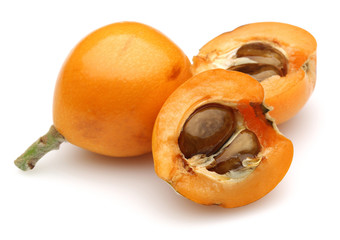 Loquat