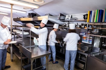 Team of chefs preparing food in the kitchen