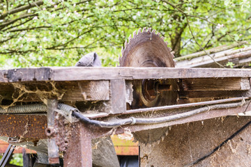 Old circular saw blade with table