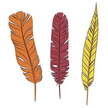 Set colorful feathers on a white background.