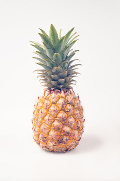 Pineapple isolated
