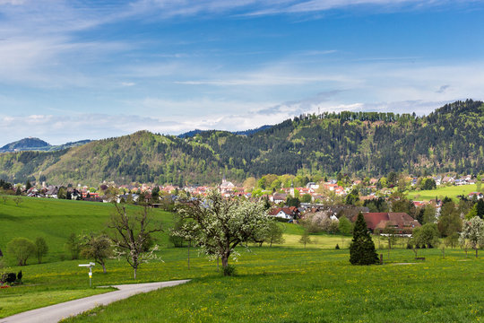 Fr&uuml;hlingsidylle im Schwarzwald 