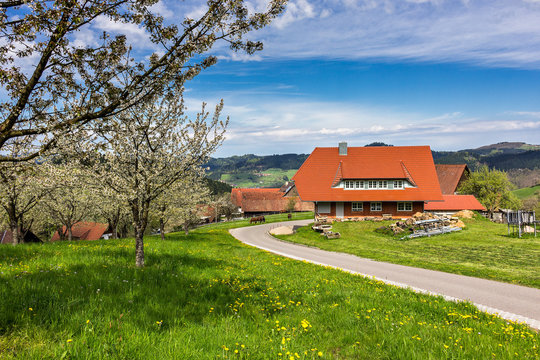 moderner Bauernhof im Frühling, Schwarzwald