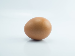 egg