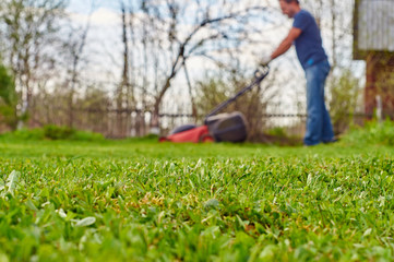 Trimmed grass in the foreground and a man mowing grass in the blurred background
