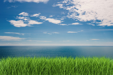 Fototapeta na wymiar spring field with blue sea and cloudy sky