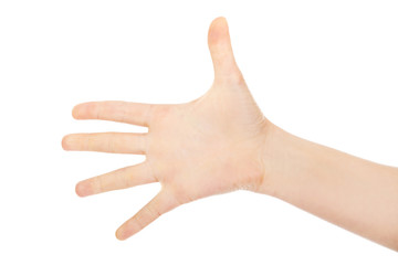 Woman palm with five fingers