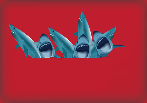 taschino pieno di squali