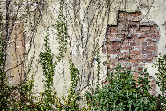 Old Garden Wall