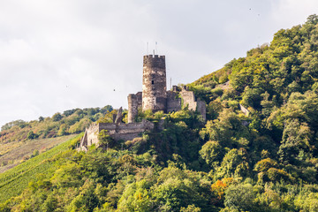 Burg Fürstenberg 