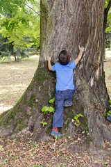 Naklejka na ściany i meble Child hugging and climbing tree