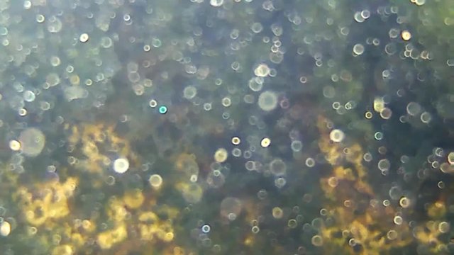 Unterwasseraufnahme von Sonnenreflexen